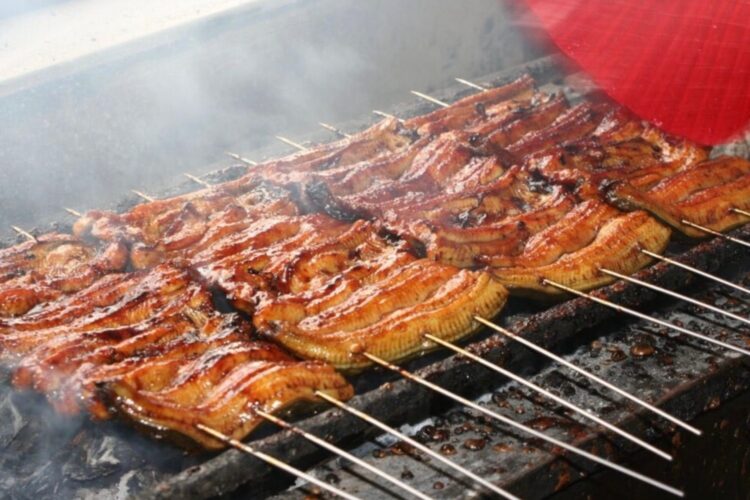 UNAGI, FRESHWATER EEL